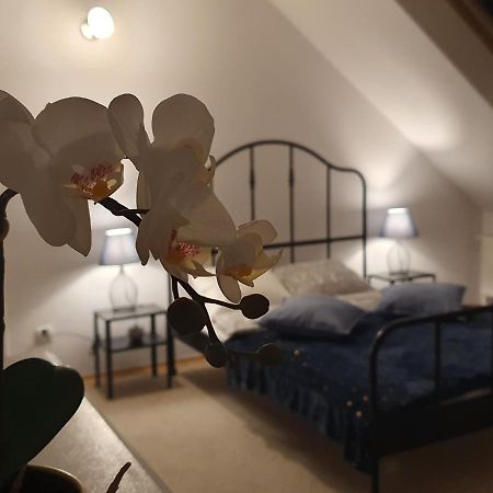 Mieszko Rooms Legionowo Kültér fotó